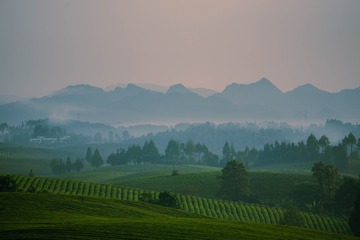 D0764281-B20C-41DC-BD08-53777147F1AB/L0/001