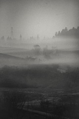 393F3655-01D1-467C-ABD3-06329F314F37/L0/001