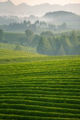 397F7664-541B-4DF5-8BBD-97F4DE43DC13/L0/001