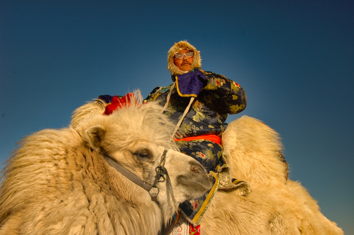 牧驼人 拍摄于内蒙古锡林郭勒盟东乌珠穆沁旗