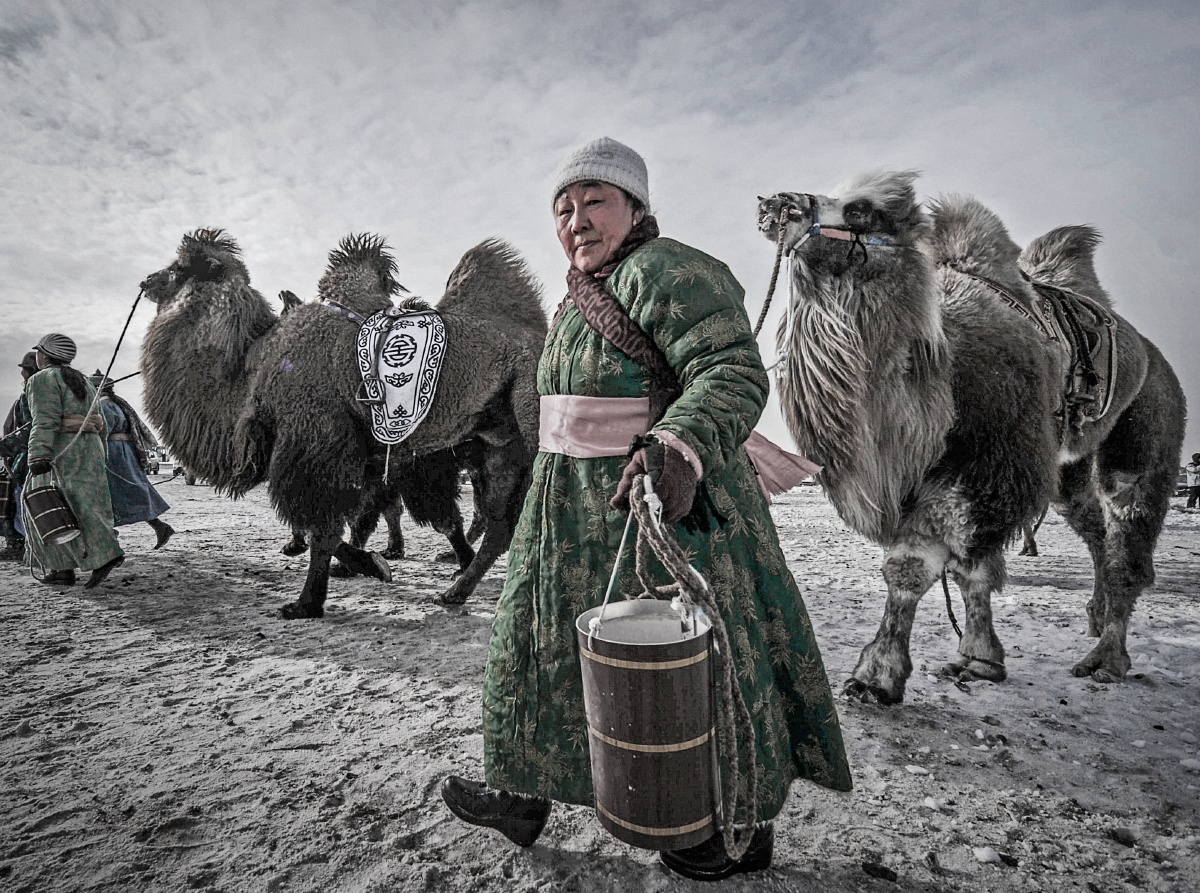 牧驼人 冬季草原的放驼人 - 阿宝.dfic