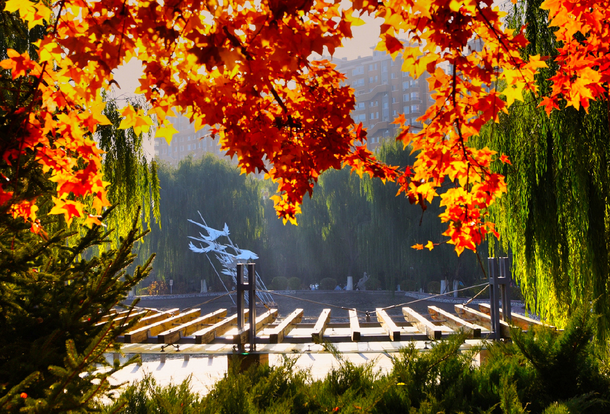 家园秋色 拍摄于内蒙古元宝山区平庄公园