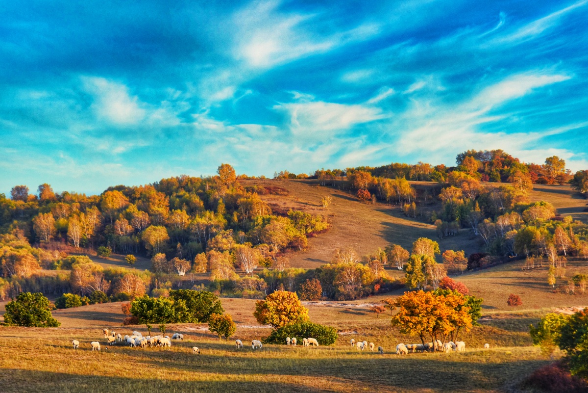 塞外金秋拍摄于内蒙古克旗