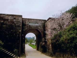 03EB53BE-C7D3-4750-80A8-D5F5E8AEF22E/L0/001