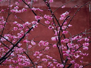 5D607F05-7342-41B4-B155-8DB31BE1C57A/L0/001