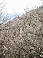 8EB8A328-481D-4FD7-B3EF-2C557D3C399A/L0/001
