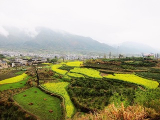 D89738CA-2A4E-4319-A9D9-BC7C0335CC11/L0/001