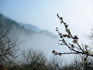 7F7F557C-DD1E-43E8-A158-AC9B0867A500/L0/001