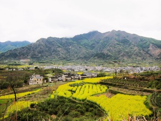 C947A829-ACD9-4E4A-817B-EFE2D95AB392/L0/001