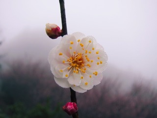 D7B12802-2714-4A0C-9B44-DBFE8F48C1D2/L0/001