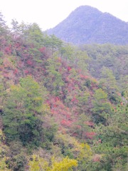 E71ED801-710B-4BE4-870A-665B65EA5B5C/L0/001