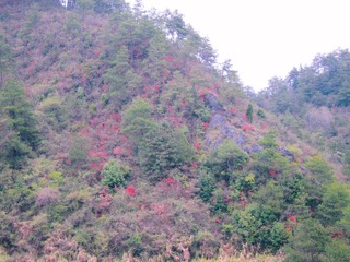 0B80FB4B-F60D-4F96-9E52-7D91C6FD0A5C/L0/001