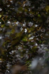 1000041013