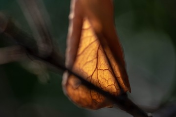 940697