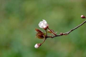 2365635