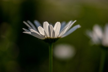 2585798