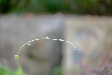 3030945