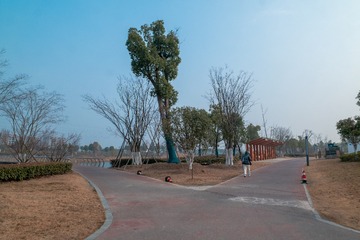 3306871