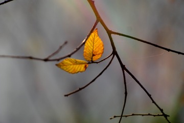 910168