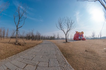 3310566