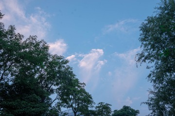 2802602