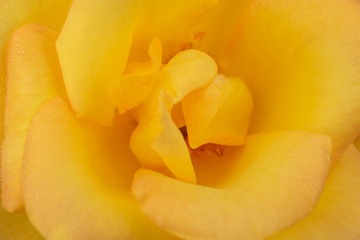 93614