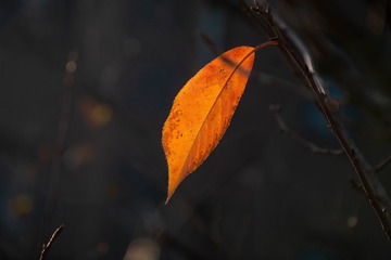 910163