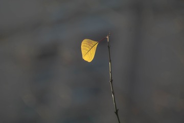 940733