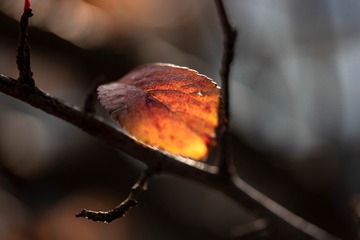 940704