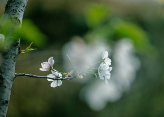 1090322