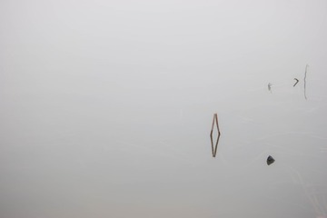 981069