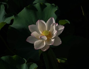 60815