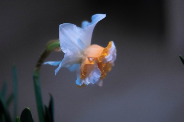 2501173
