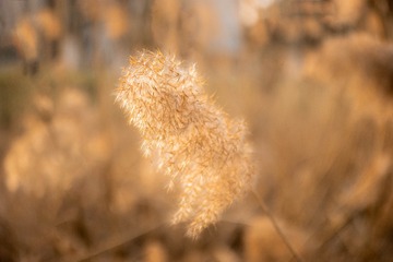 2201802