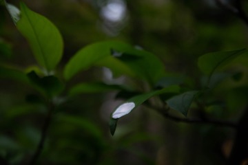 2501159