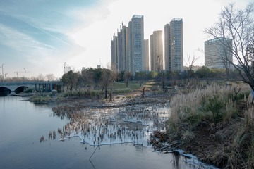 2172664
