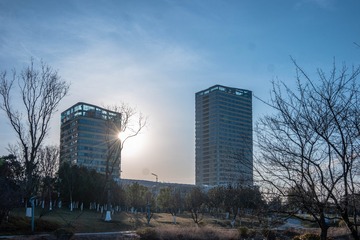 2172658