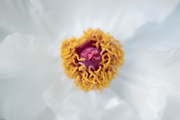 92327
