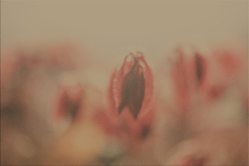 2538054
