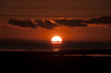 66358