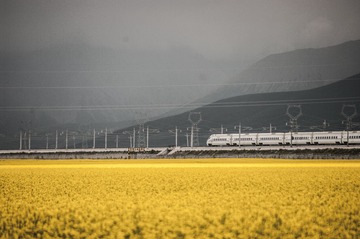 66428