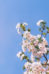 D554D271-5A38-4039-8B63-C803E1BEC5B6/L0/001