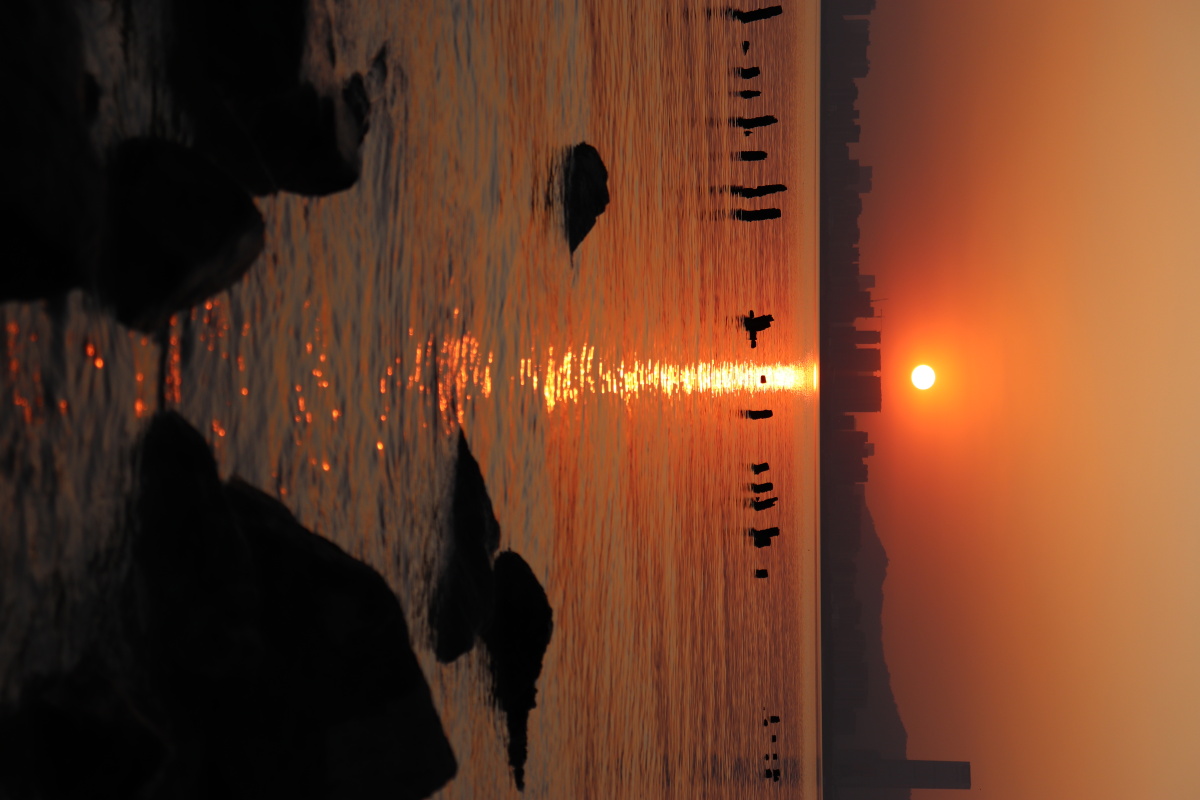 傍晚的阳光金黄而辽远四季交替却如此温情