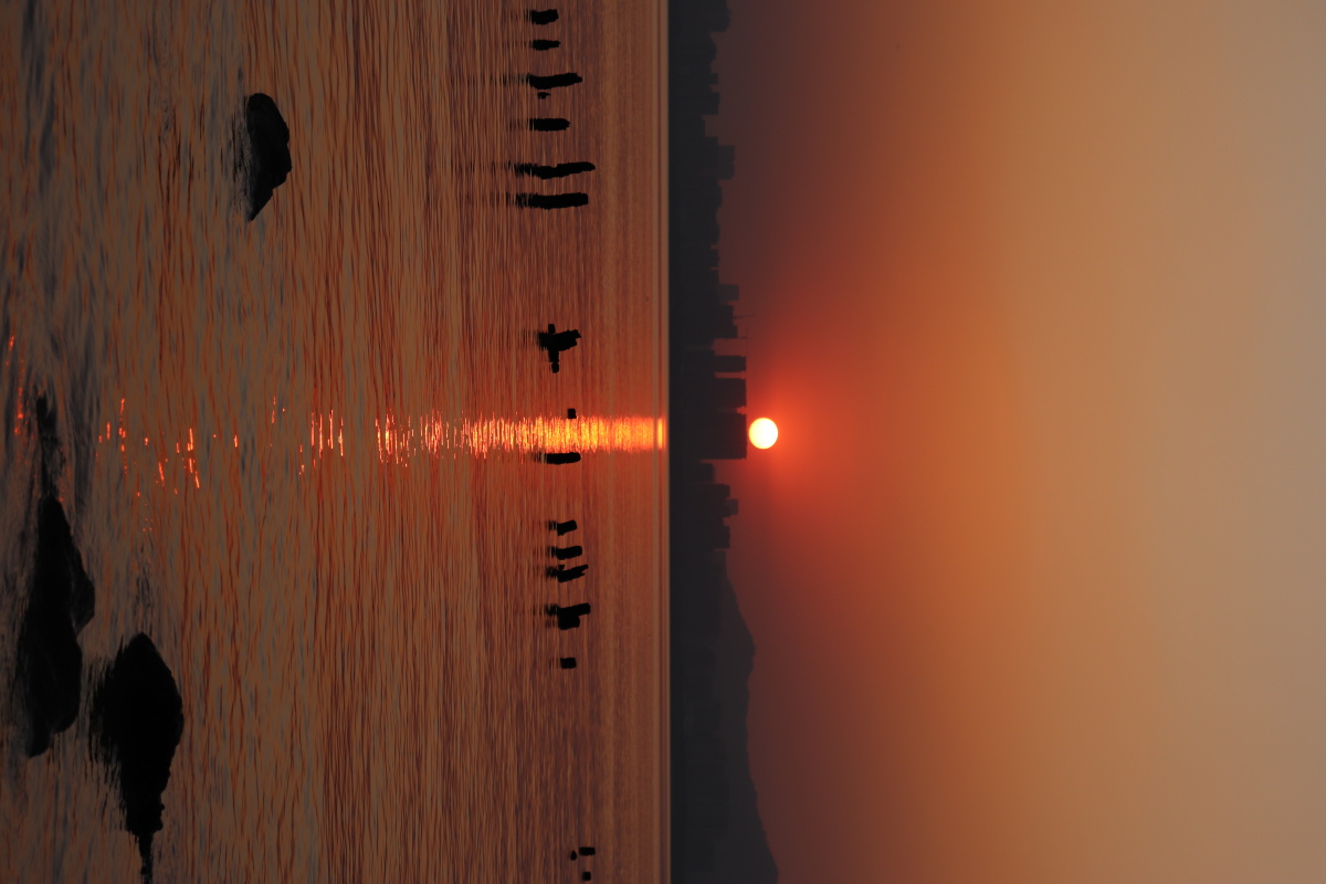 傍晚的阳光金黄而辽远四季交替却如此温情