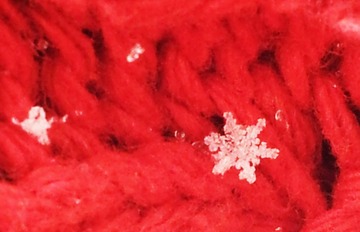 20150129_100708