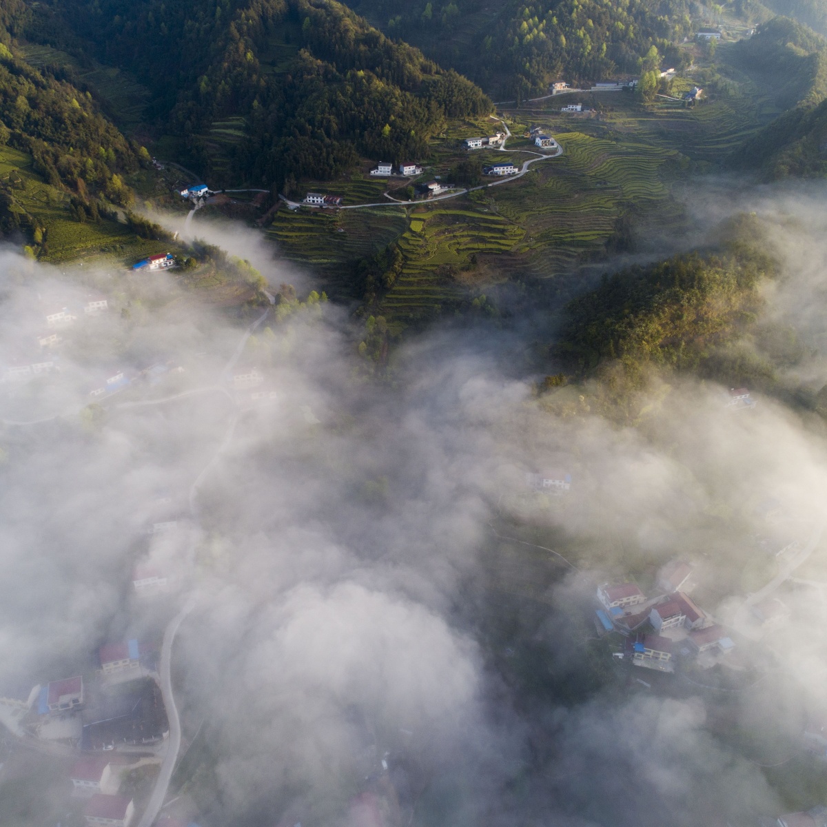 白云生处有人家