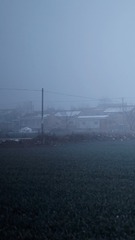 141236