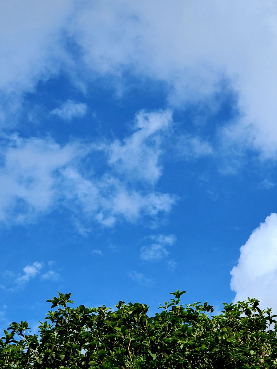 夏日晴空