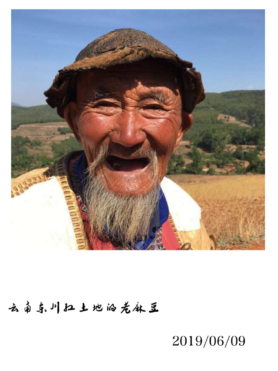 云南东川红土地的老麻豆