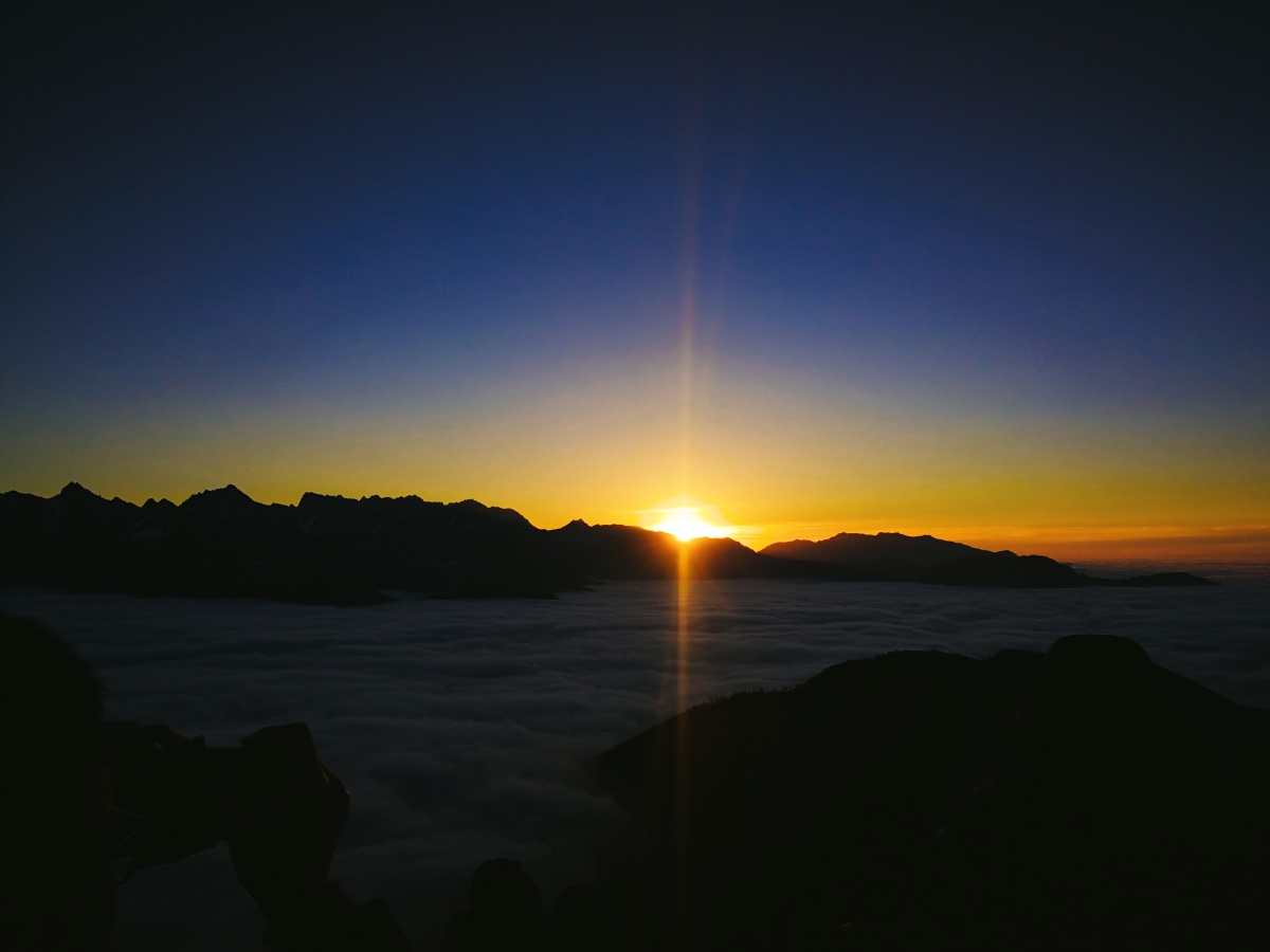 朱先生总是学不会阳光